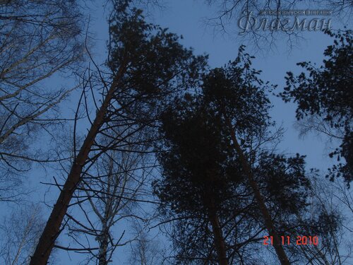 DSC04676_r